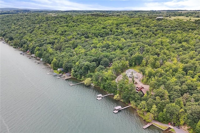 4924 Basswood Rd, Starkey, NY 14837 - photo 40