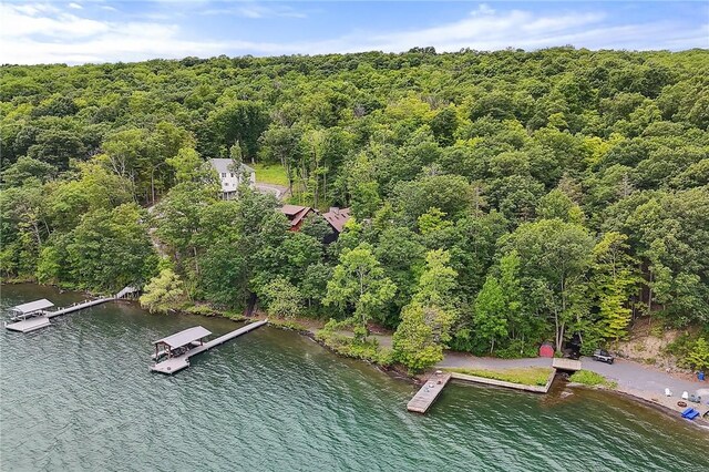 4924 Basswood Rd, Starkey, NY 14837 - photo 41