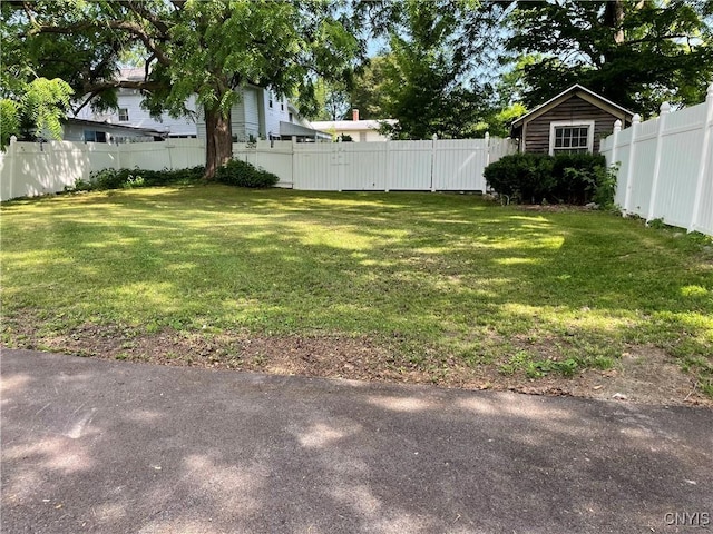 203 E Genesee St, Manlius, NY 13066 - view of yard