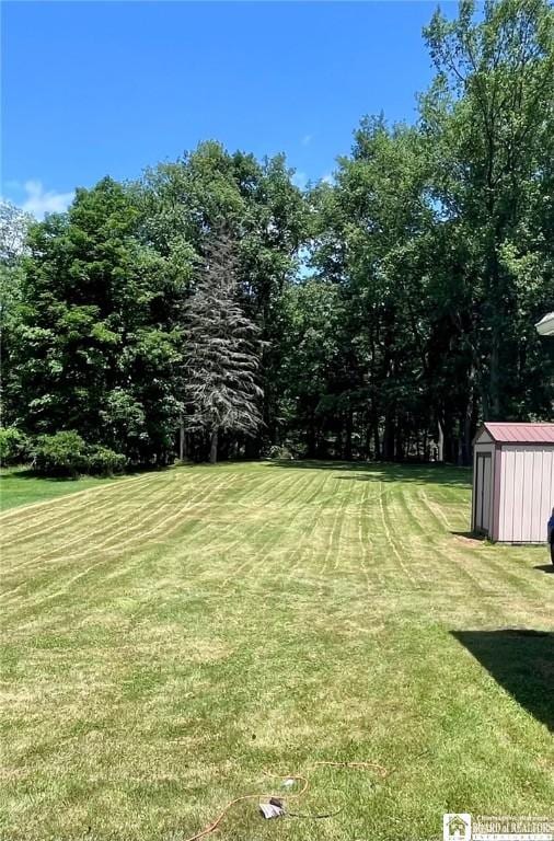 3194 Cranberry Rd, Allegany, NY 14760 - view of green lawn with a storage unit
