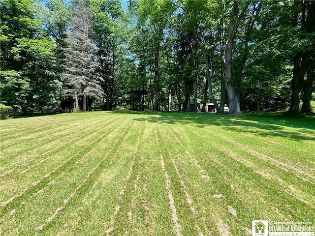3194 Cranberry Rd, Allegany, NY 14760 - view of grassy yard