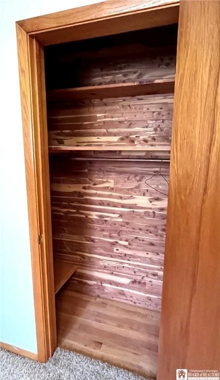 3194 Cranberry Rd, Allegany, NY 14760 - view of closet