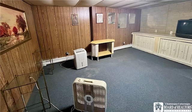 3194 Cranberry Rd, Allegany, NY 14760 - sitting room featuring a baseboard radiator, wooden walls, and carpet