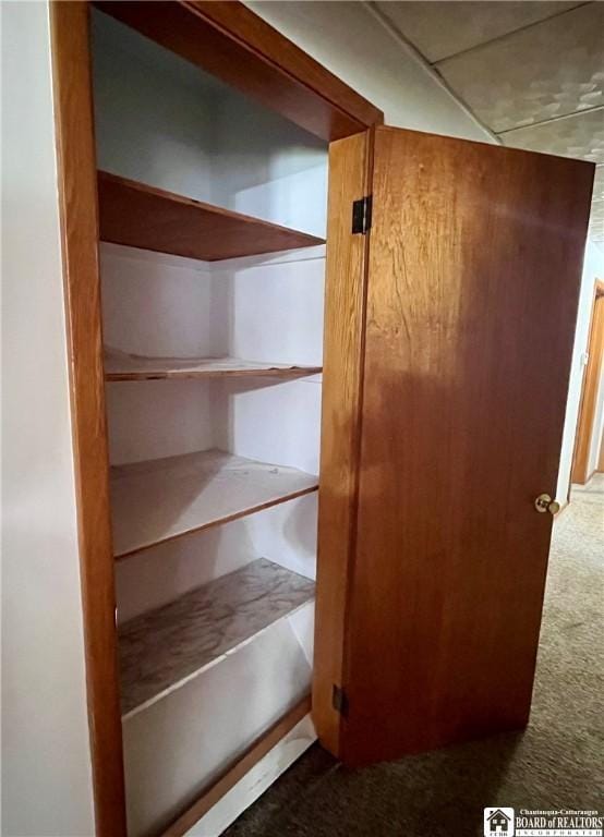 3194 Cranberry Rd, Allegany, NY 14760 - view of closet