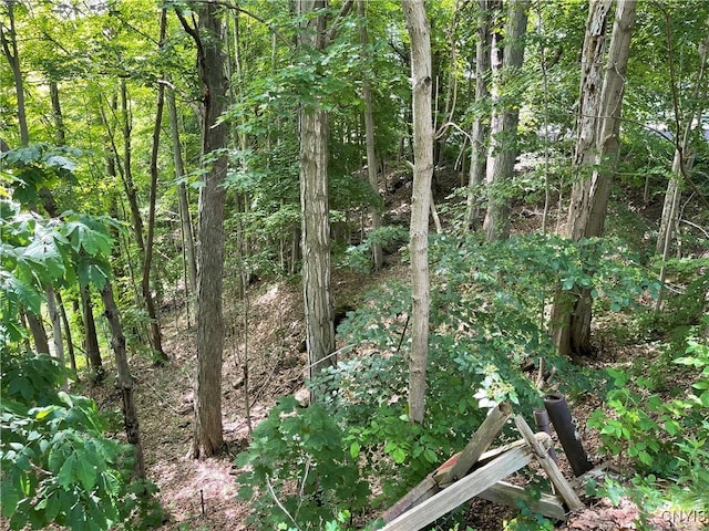 3060 State Route 48, Minetto, NY 13126