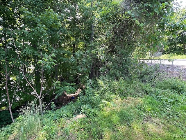 3060 State Route 48, Minetto, NY 13126