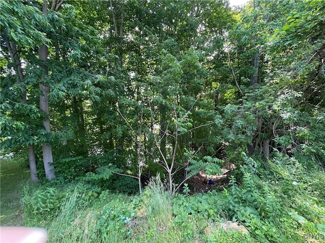 3060 State Route 48, Minetto, NY 13126