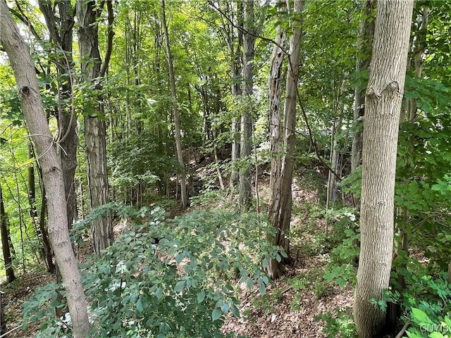 3060 State Route 48, Minetto, NY 13126