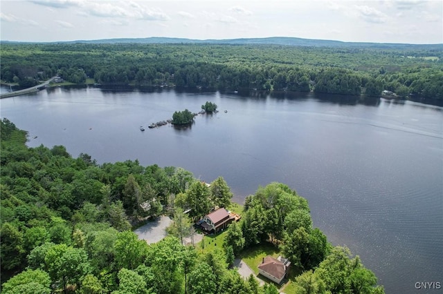 4085 Tracy Rd, Forestport, NY 13338 - photo 10
