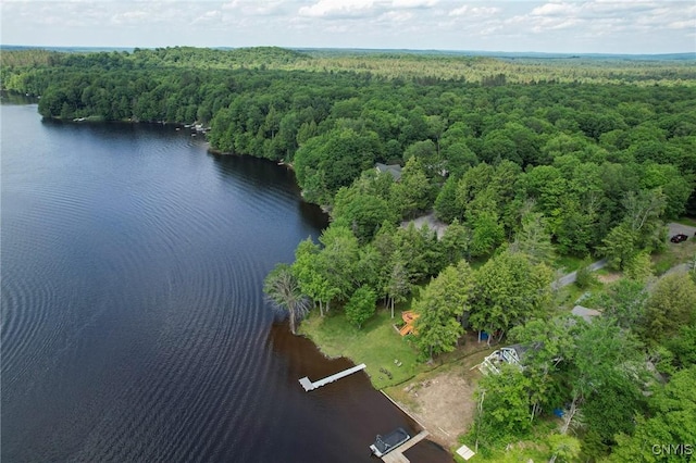 4085 Tracy Rd, Forestport, NY 13338 - photo 11