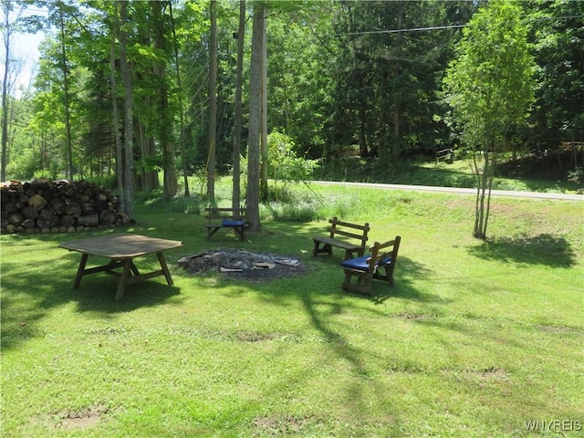 8211 Elmwood Dr, Rushford, NY 14717 - view of grassy yard