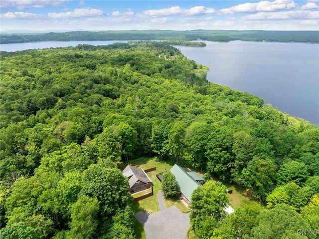 224 Macarthur Rd, Russia, NY 13324 - view of subject property featuring a heavily wooded area