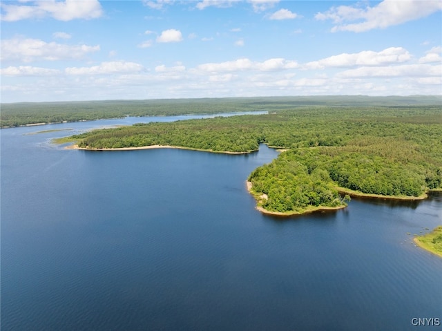 224 Macarthur Rd, Russia, NY 13324 - drone / aerial view of a large body of water