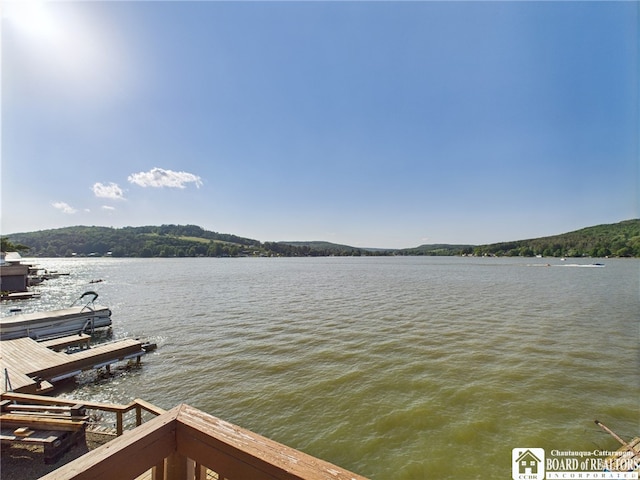 47 S Shore Rd, Cuba, NY 14727 - photo 14