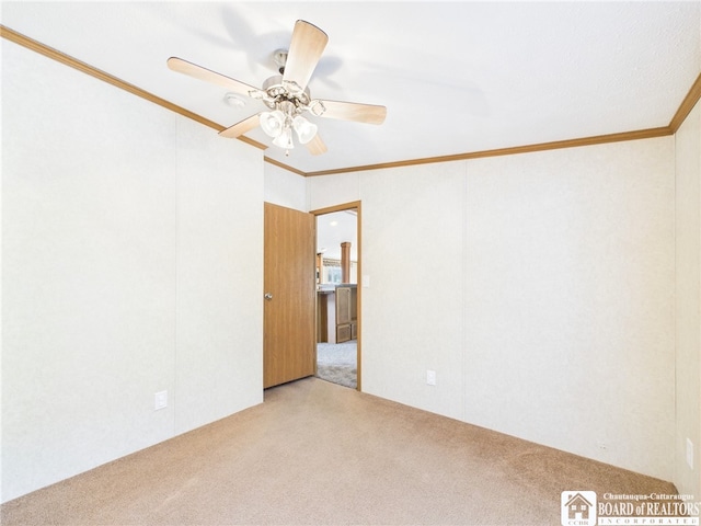 47 S Shore Rd, Cuba, NY 14727 - photo 28