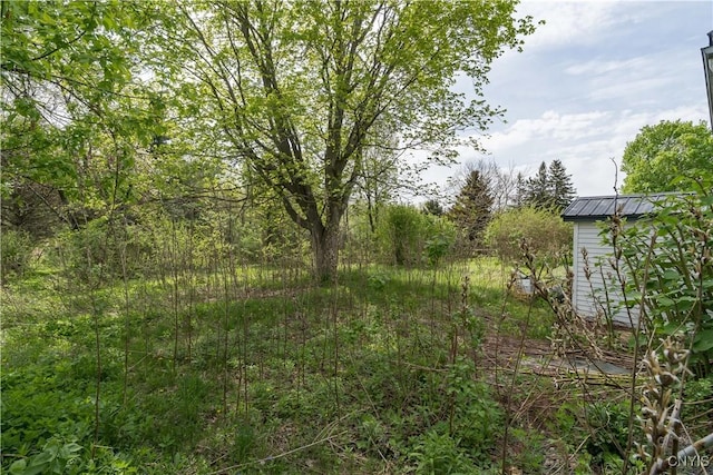 12324 US Route 11, Adams, NY 13606 - view of yard featuring a shed