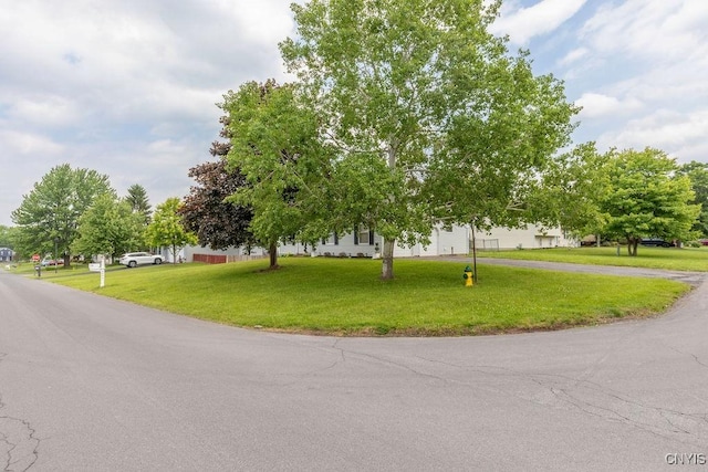 7772 New Hope W, Clay, NY 13090 - view of asphalt street