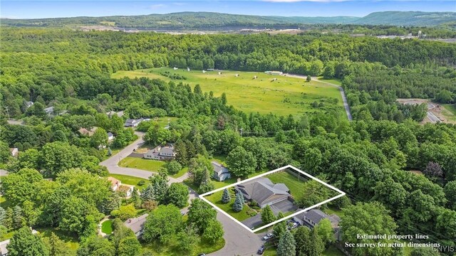 114 Will O Wind Dr, Dewitt, NY 13078 - photo 47
