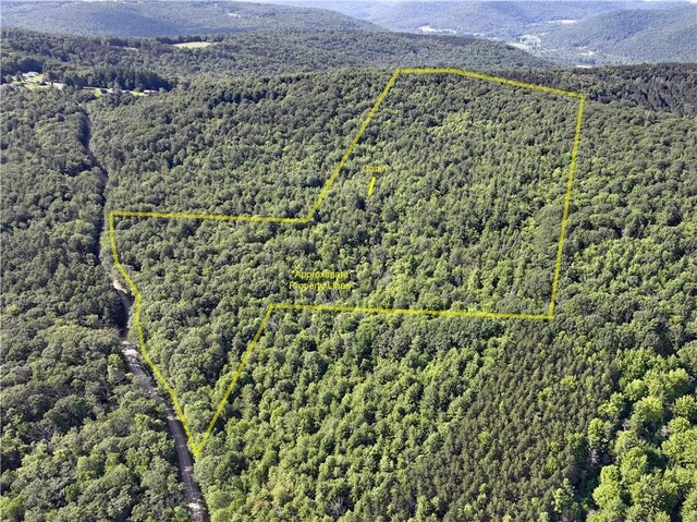 0 Park Hill Rd, Van Etten, NY 14838 - photo 1