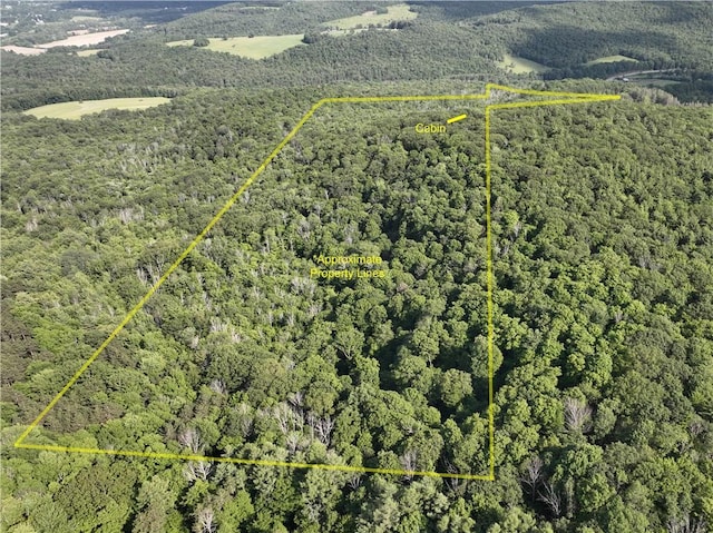 0 Park Hill Rd, Van Etten, NY 14838 - photo 2