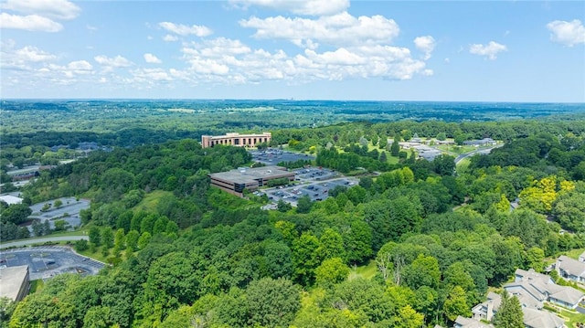 31 Spruce Rdg, Perinton, NY 14450 - aerial view of a forest