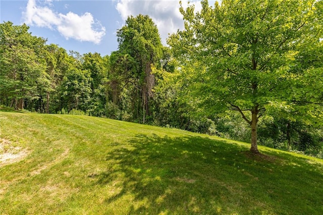 31 Spruce Rdg, Perinton, NY 14450 - view of grassy yard featuring a forest view