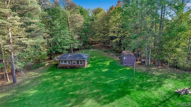 8515 Rte 243, Rushford, NY 14777 - view of grassy yard with a view of trees and a shed