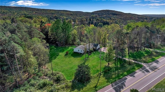 8515 Rte 243, Rushford, NY 14777 - view of subject property featuring a forest and a mountainous background