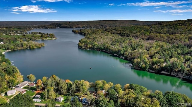 8515 Rte 243, Rushford, NY 14777 - aerial view of property and surrounding area featuring a forest and a large body of water