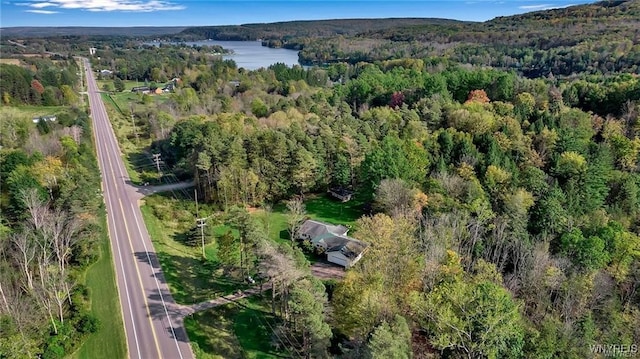 8515 Rte 243, Rushford, NY 14777 - aerial view of property and surrounding area with a heavily wooded area and a nearby body of water