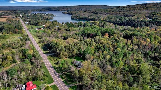 8515 Rte 243, Rushford, NY 14777 - view of property location with a forest and a large body of water