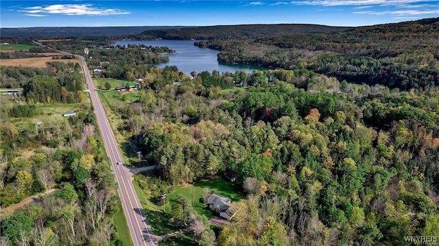 8515 Rte 243, Rushford, NY 14777 - aerial view of property's location featuring a nearby body of water and a forest