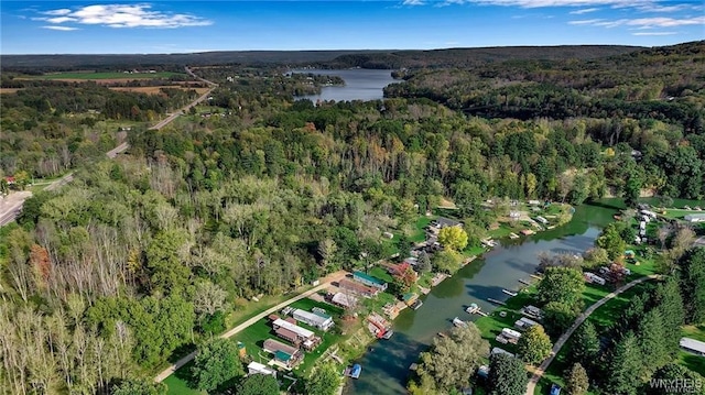 8515 Rte 243, Rushford, NY 14777 - aerial view of property and surrounding area with a forest and a large body of water