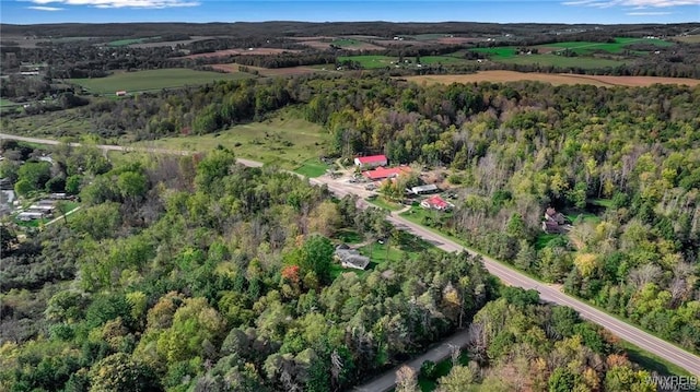 8515 Rte 243, Rushford, NY 14777 - aerial overview of property's location with a heavily wooded area