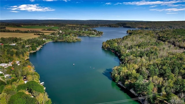 8515 Rte 243, Rushford, NY 14777 - aerial overview of property's location with a large body of water and a forest