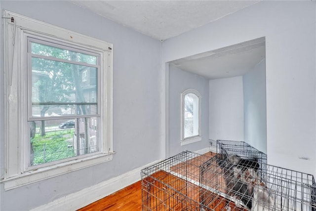 65-67 Woodlawn St, Rochester, NY 14607 - entryway featuring plenty of natural light and wood finished floors