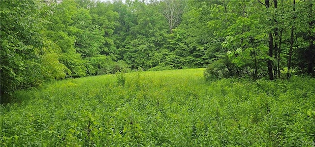 Gospel Hill Rd, Oxford, NY 13830