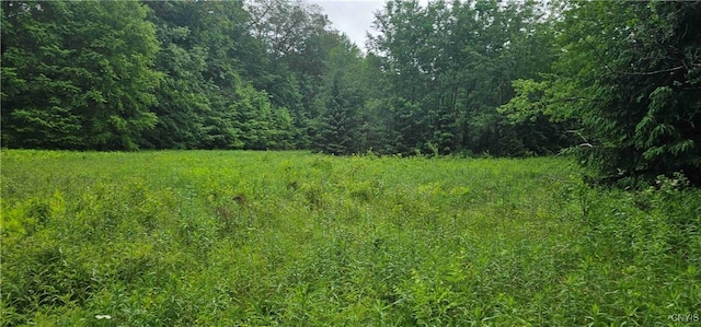 Gospel Hill Rd, Oxford, NY 13830