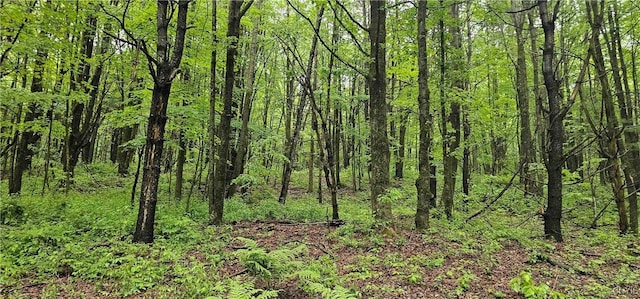 Gospel Hill Rd, Oxford, NY 13830