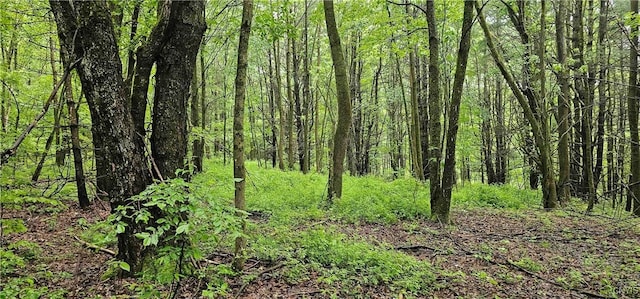 Gospel Hill Rd, Oxford, NY 13830