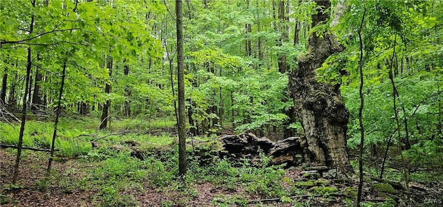 Gospel Hill Rd, Oxford, NY 13830