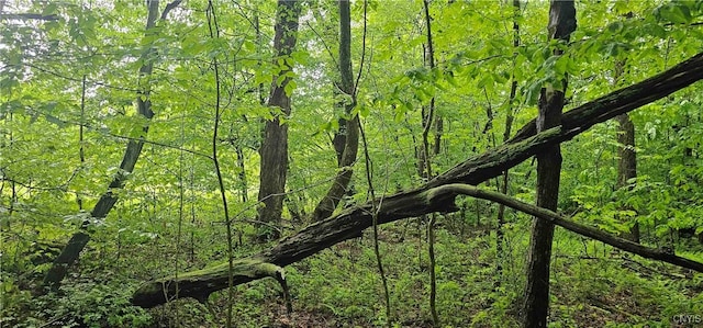 Gospel Hill Rd, Oxford, NY 13830
