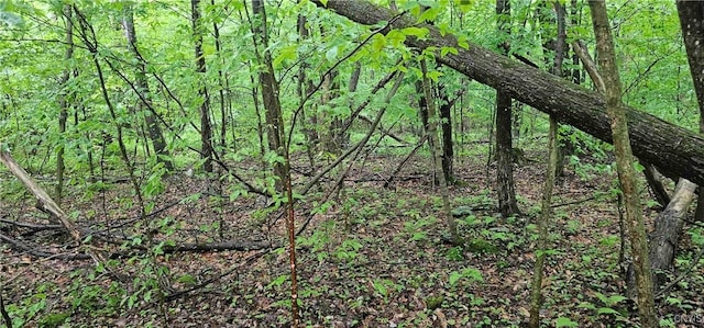 Gospel Hill Rd, Oxford, NY 13830