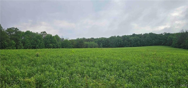 Gospel Hill Rd, Oxford, NY 13830