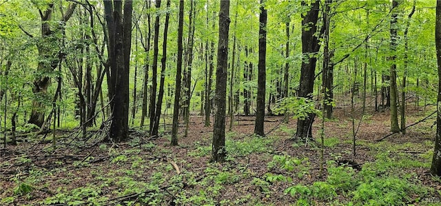 Gospel Hill Rd, Oxford, NY 13830