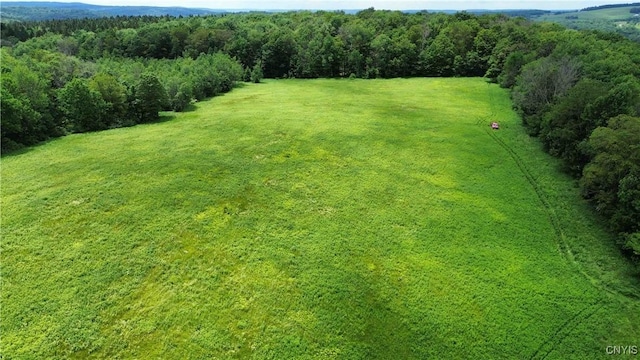 Gospel Hill Rd, Oxford, NY 13830