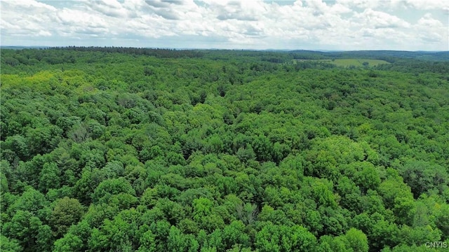 Gospel Hill Rd, Oxford, NY 13830