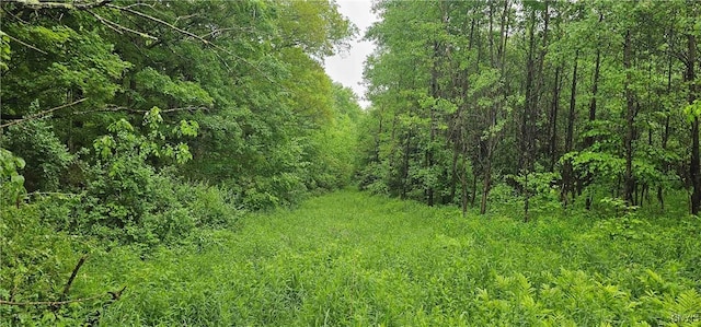 Gospel Hill Rd, Oxford, NY 13830