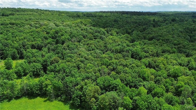 Gospel Hill Rd, Oxford, NY 13830
