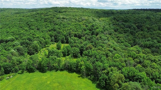 Gospel Hill Rd, Oxford, NY 13830